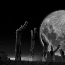 L'escarbat-i-la-lluna01